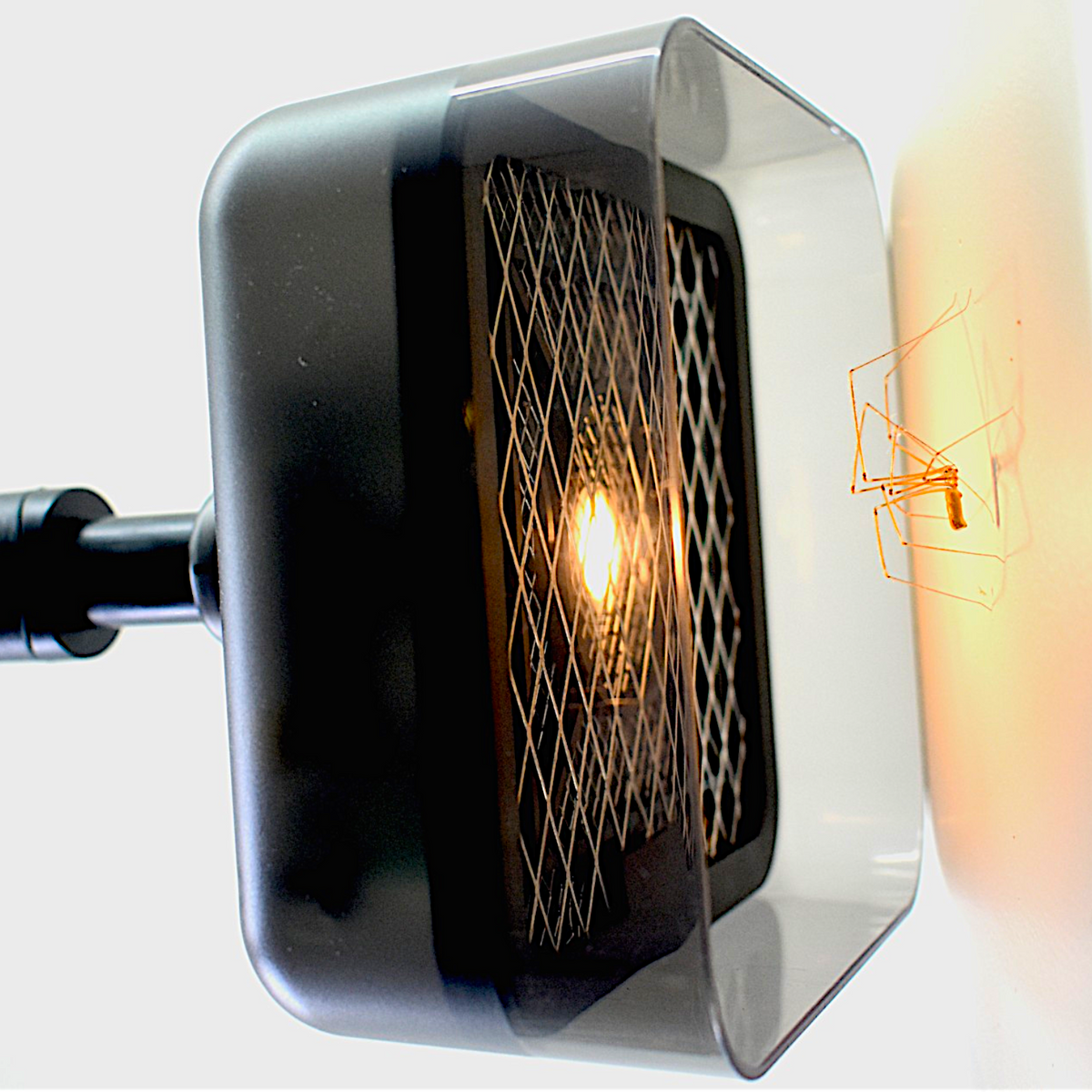 Close-up of Crawler Buster trapping a spider inside the cup-shaped head with the electrified mesh and LED visible