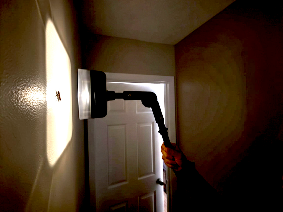 Crawler Buster LED light illuminating a crawling insect on a wall in a dark room